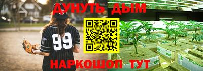 ПСИЛОЦИБИНОВЫЕ ГРИБЫ Обнинск