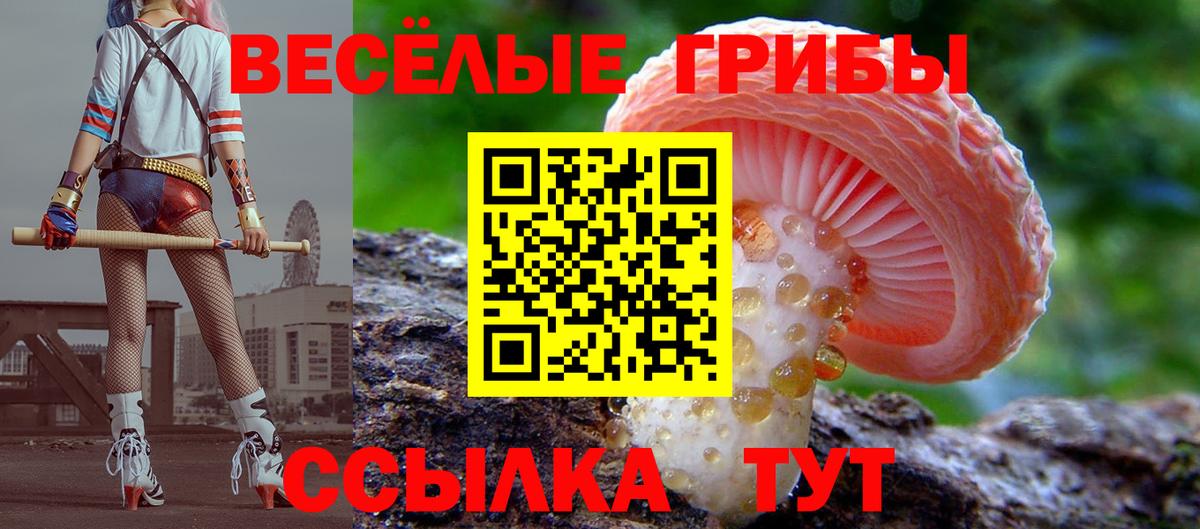 Отрадный  как найти наркотики  Вход с VPN  Псилоцибиновые грибы прущие грибы  Галлюциногенные грибы мухоморы 