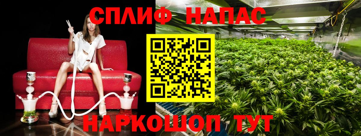 Бошки Шишки VHQ Отрадный